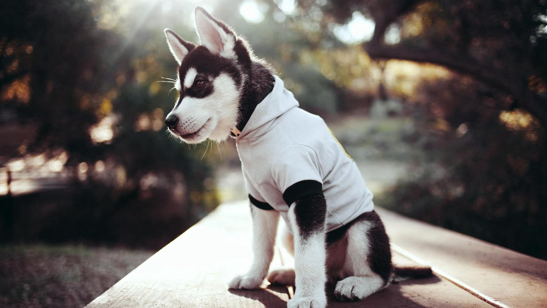 kaiyun开云·官方网站-超级战队：历届欧冠“最强阵容”的巅峰对决，欧超联赛冠军