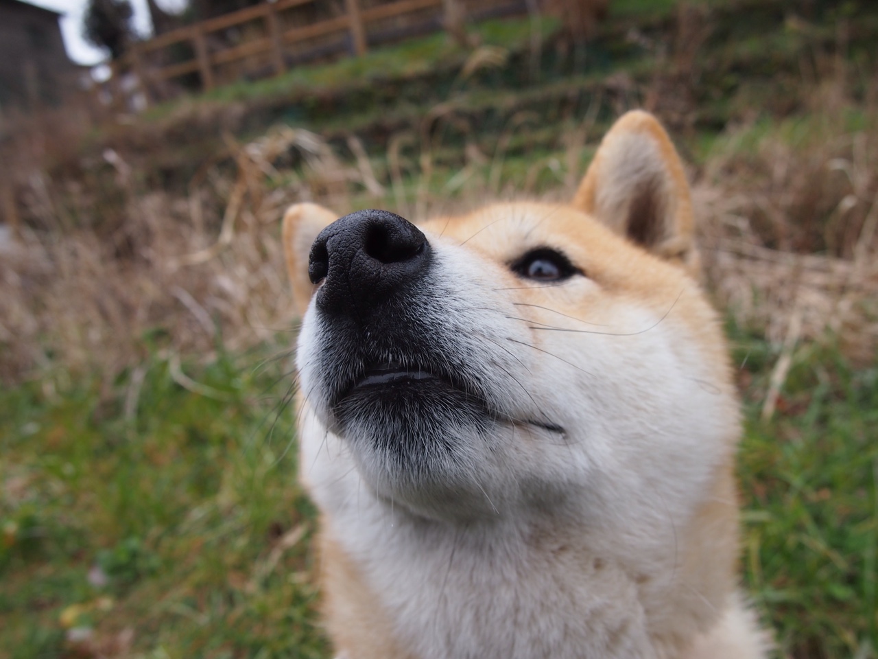 开云官方网站-NBA赛季得分效率排行榜分析，nba球员赛季得分