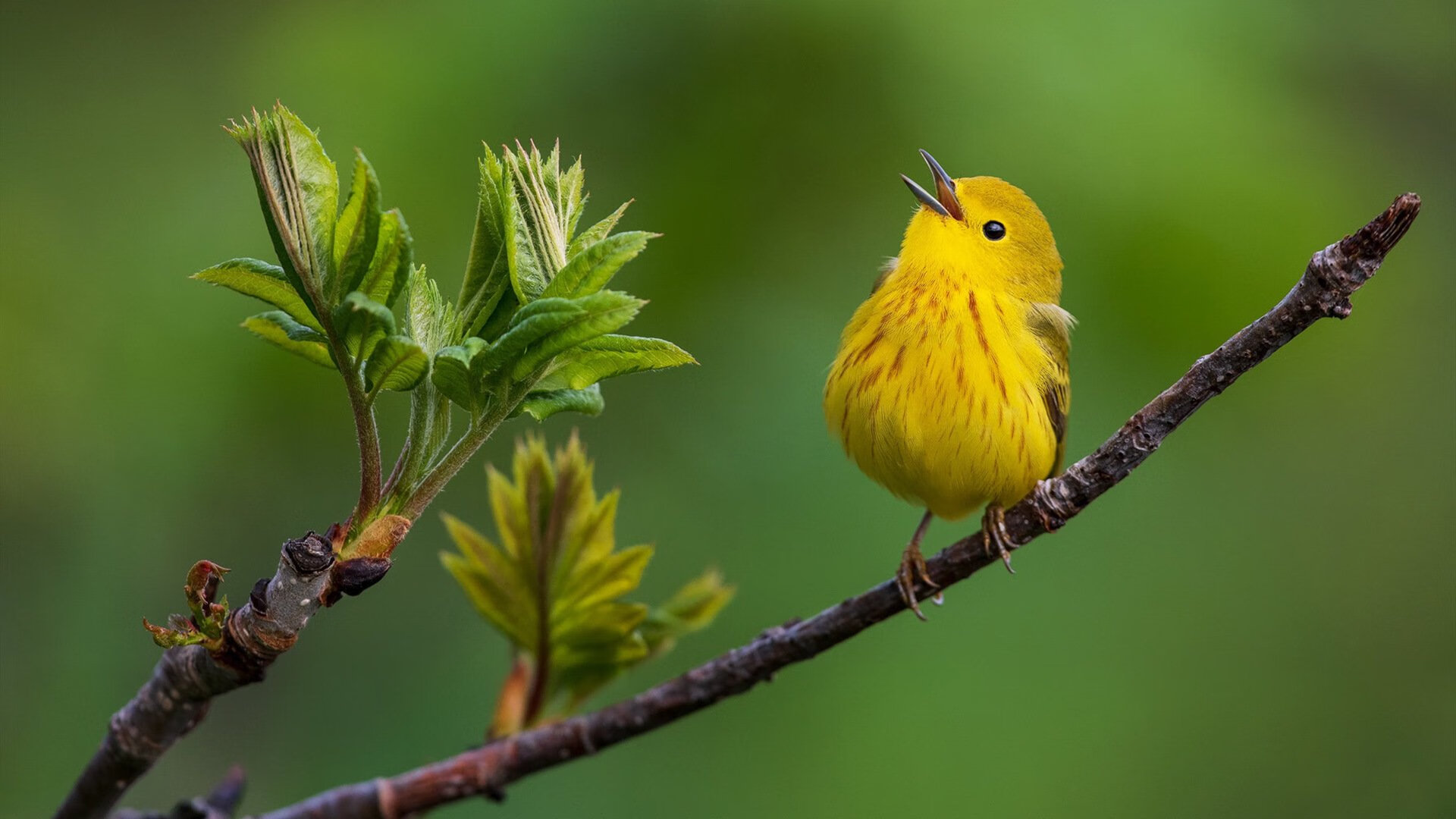 中国足球关键传球成功率,足球传球技术有哪些