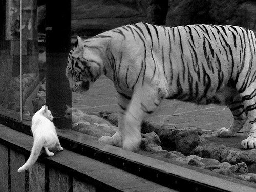 开云网页版-体育场馆安全技术升级，体育场馆安全专项整治方案