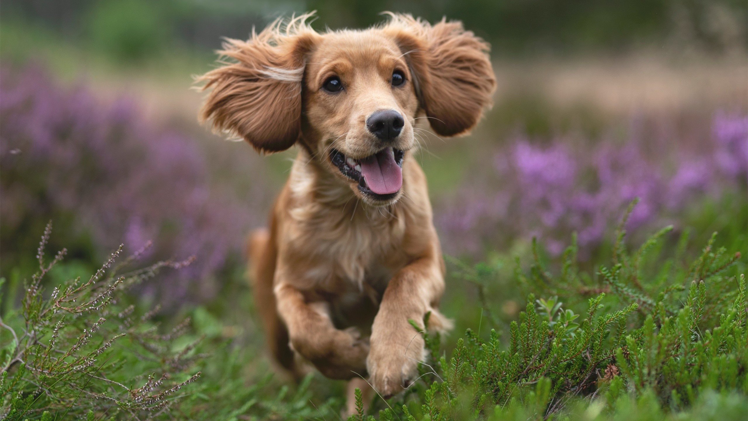 联赛倒数:争冠与保级悬念逐步升级,联赛冠军怎么产生