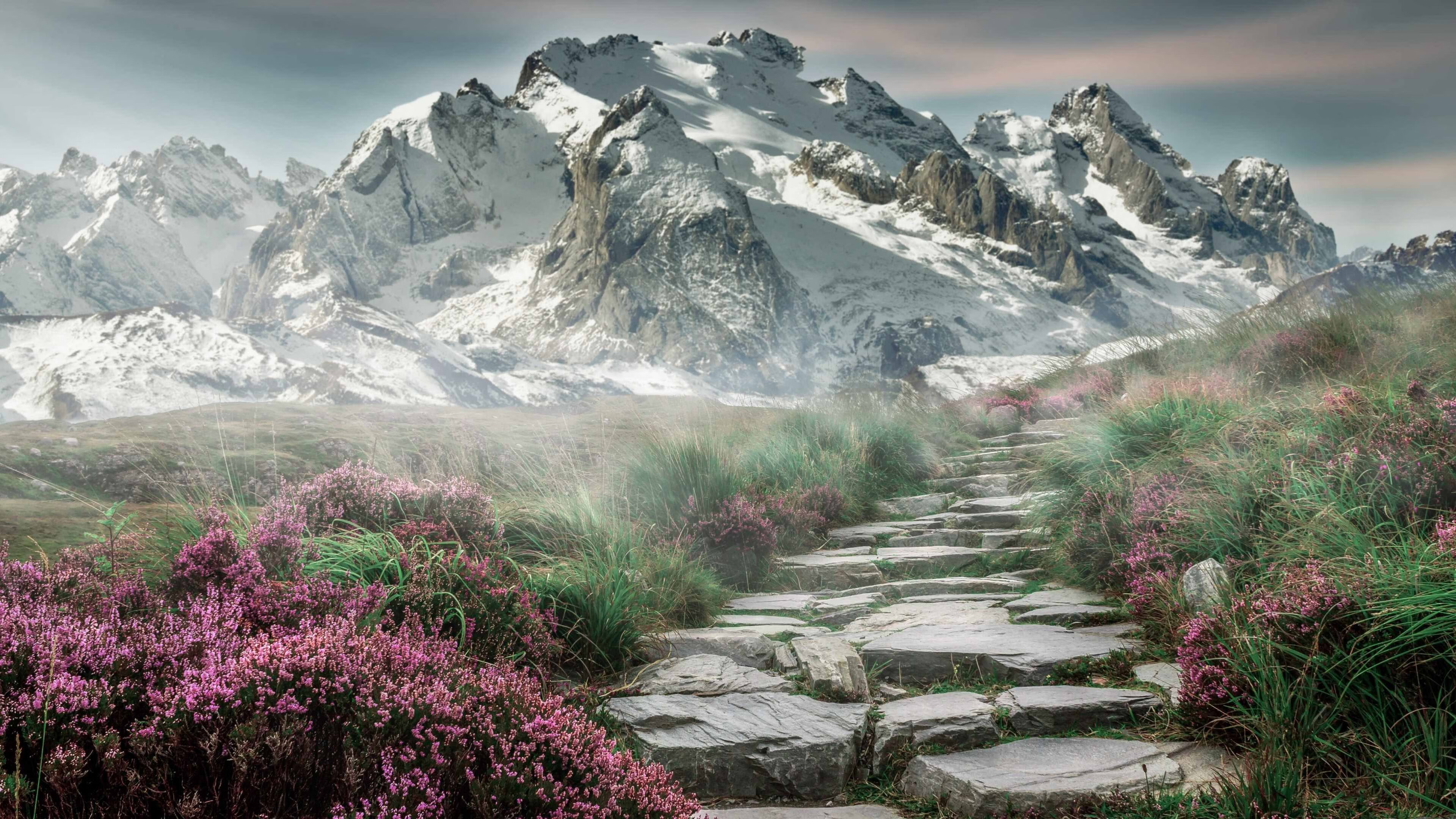 中国女篮实力稳步提升 冲击国际荣誉,中国,女篮