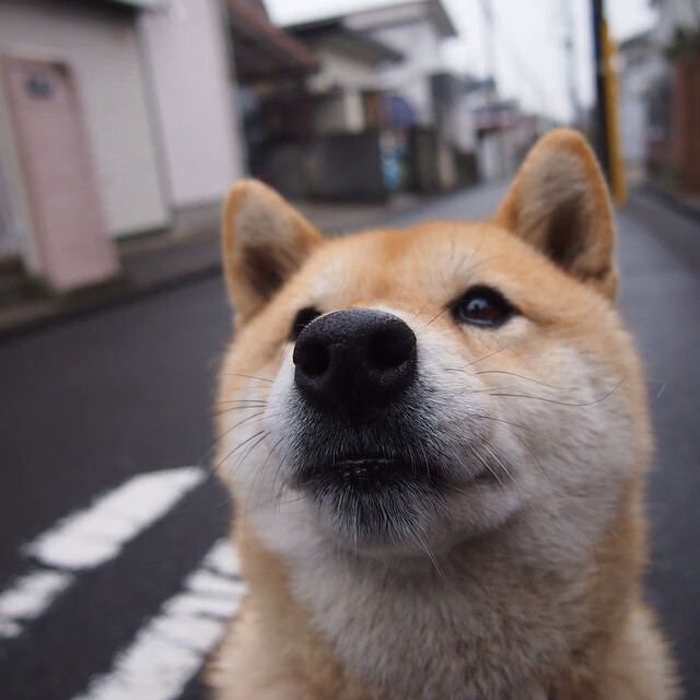 KAIYUNAPP-李冰洁表现稳定 成领军人物，李冰洁的主项